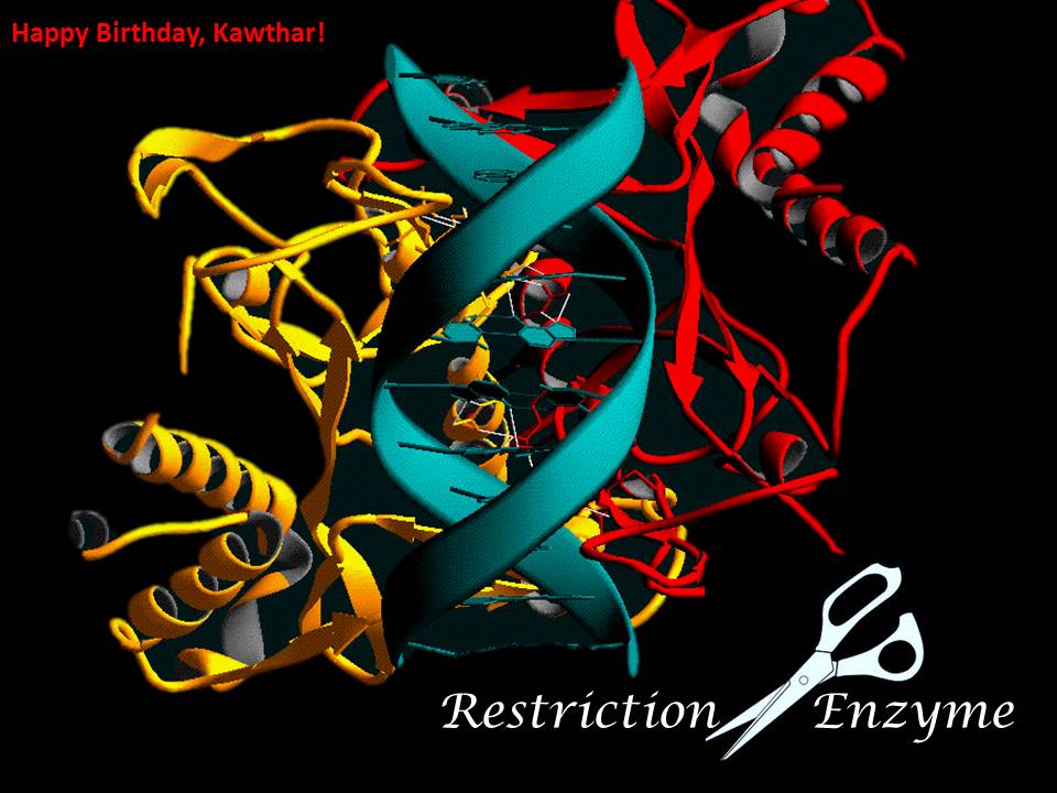 Molecular Scissors Restriction Enzymes madame scientist's notsomad