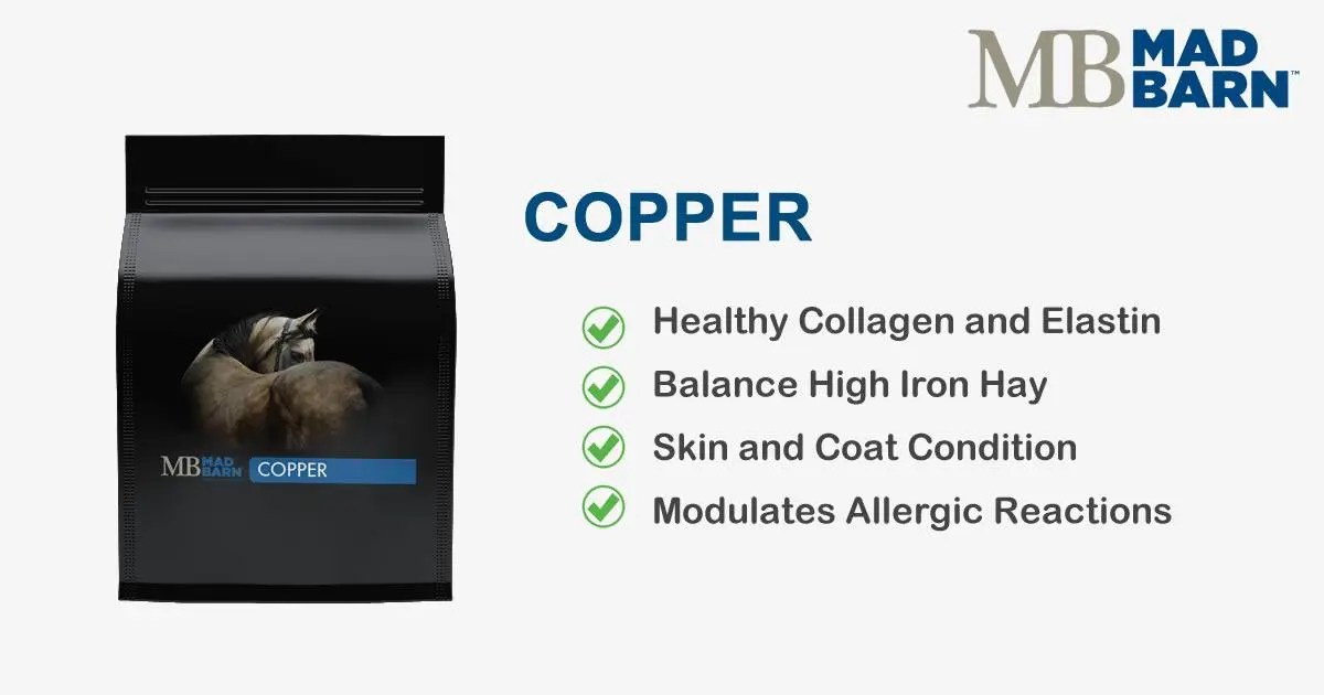 Copper Powder for Horses Equine Supplement Mad Barn