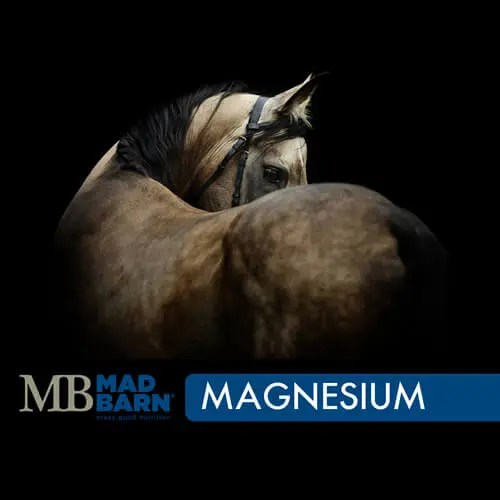 Magnesium Oxide for Horses Equine Supplement Mad Barn
