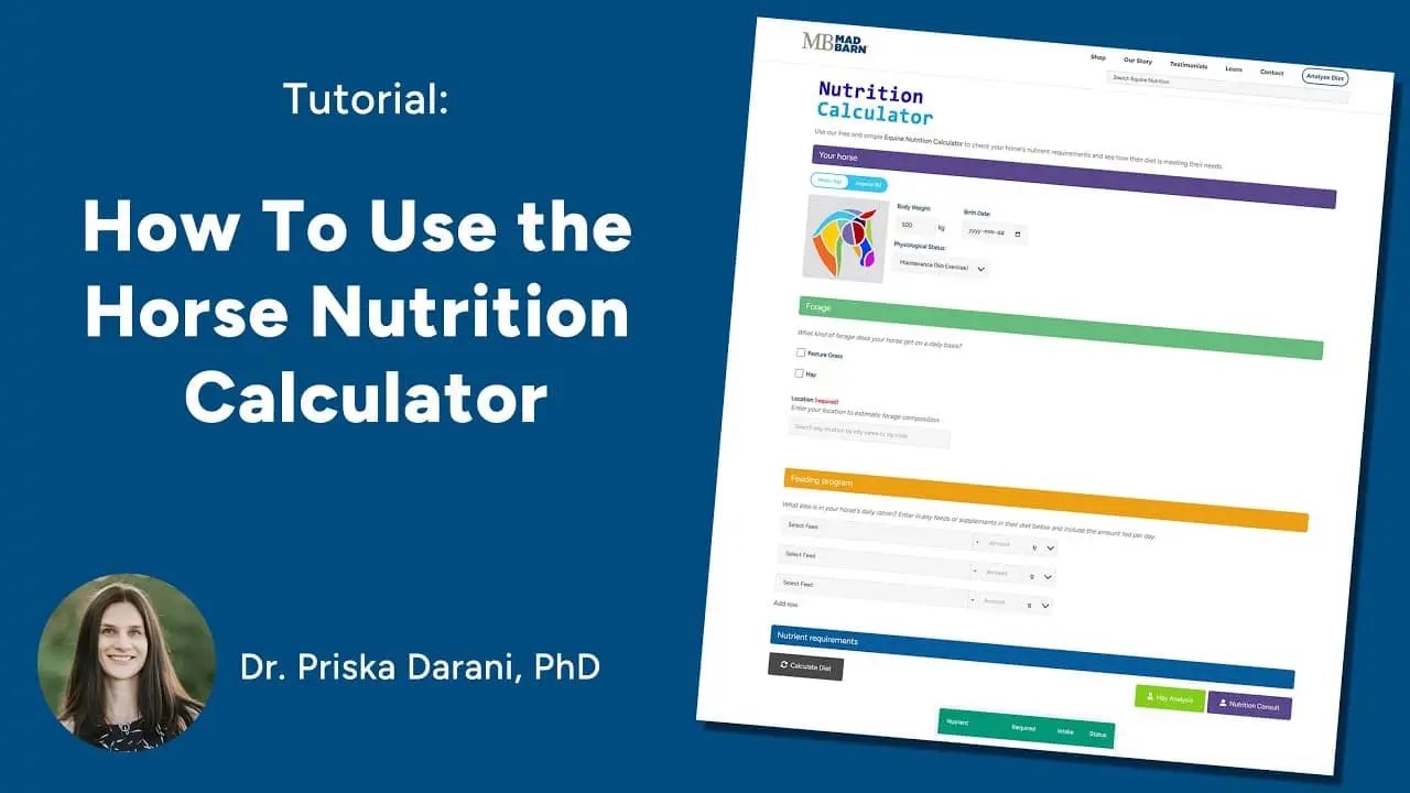 [Video] How to Use Mad Barn’s Horse Nutrition Calculator [Tutorial]