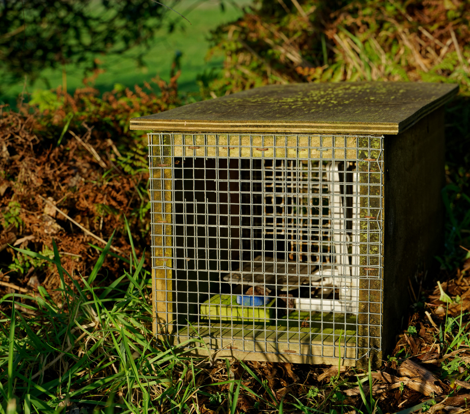 Predator control Making A Difference Conservation Services Motueka