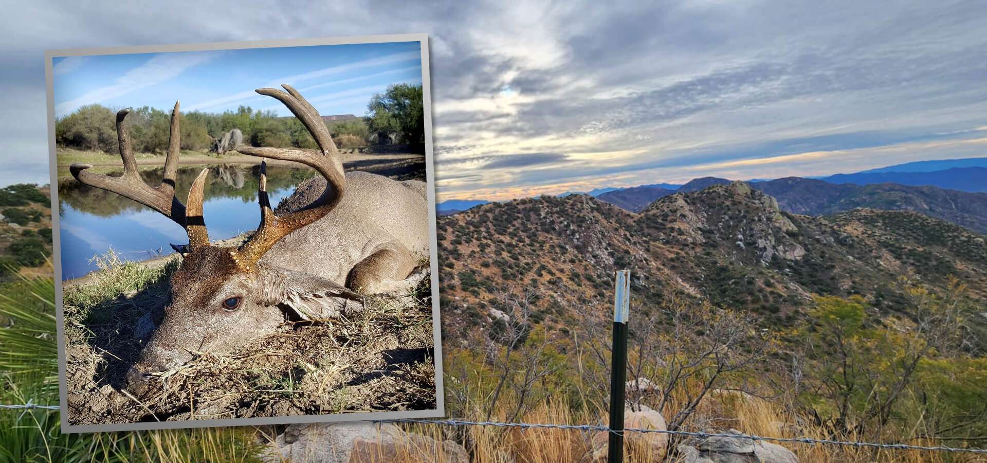 Exclusive Hunting Trips in Sonora Mexico DIY and Semi Guided Trips