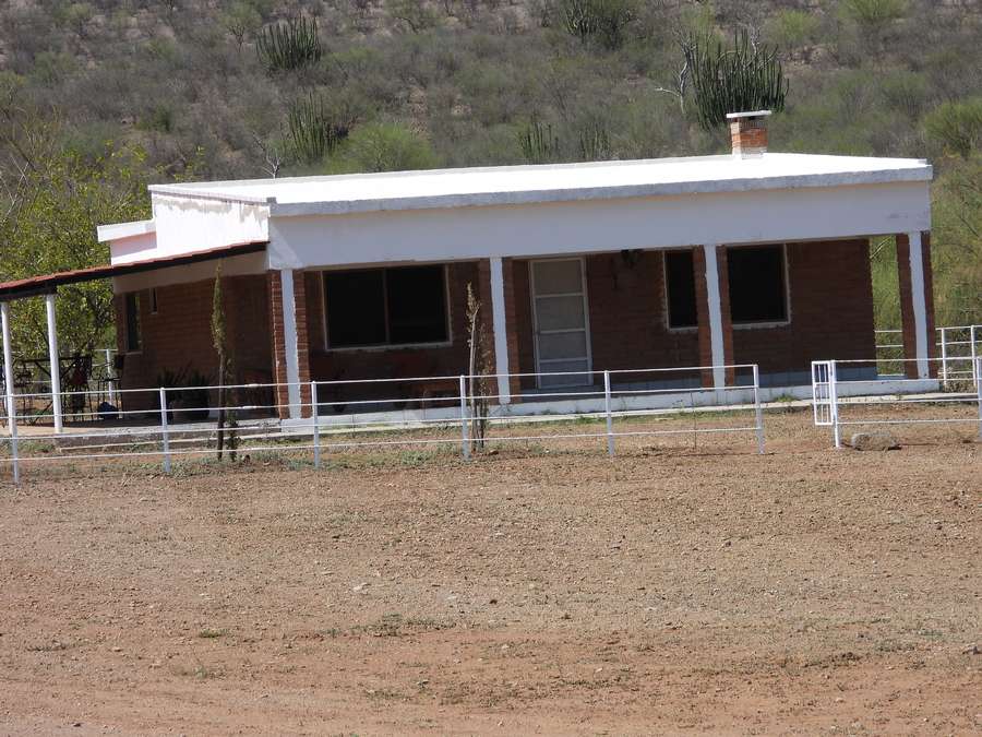 Coues Deer Hunting Ranches For Lease in Sonora, MX MADD Hunts