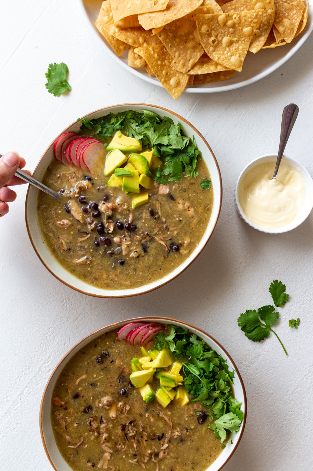 Roasted Tomatillo & Black Bean Soup with Pulled Jackfruit (Vegan)