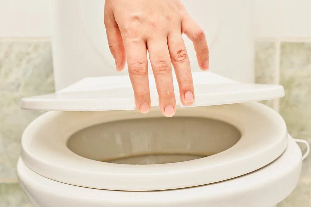 How to Manually Flush a Toilet with Easy Steps MadeAndGood
