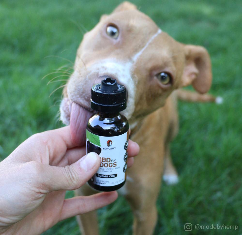 Sandy was a little too excited about her new CBD oil…