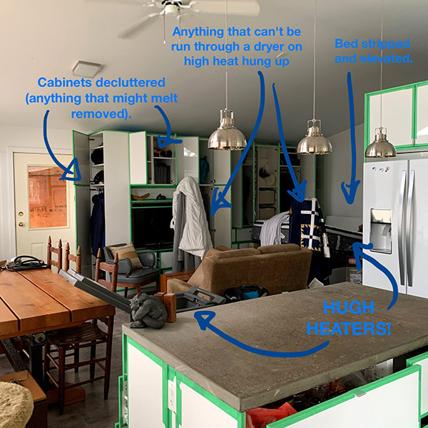 Bed bugs 2021 (2020?) Made by Meghan