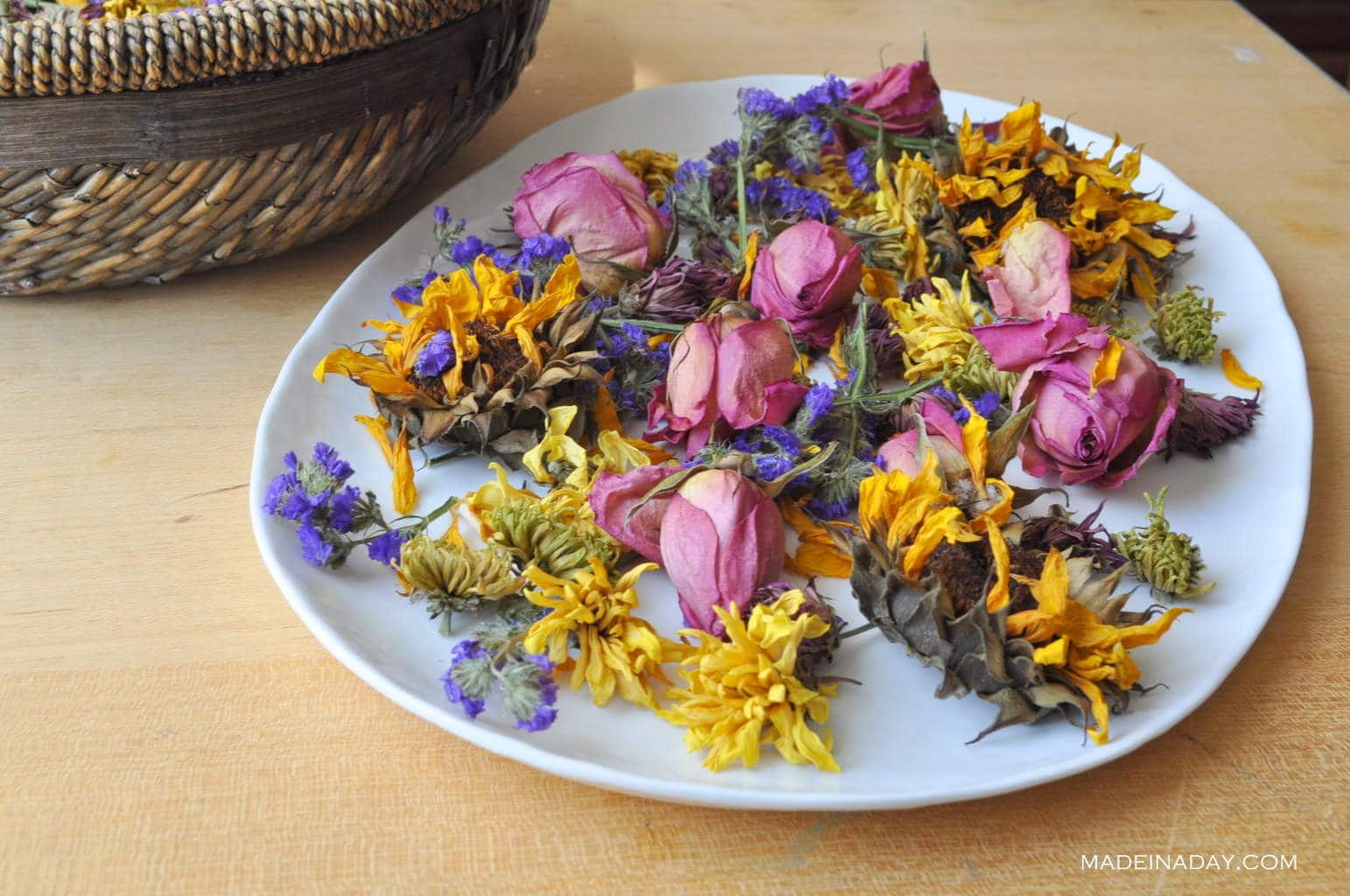 How To Dry Bougainvillea Flowers In Oven at Sylvia Mauricio blog