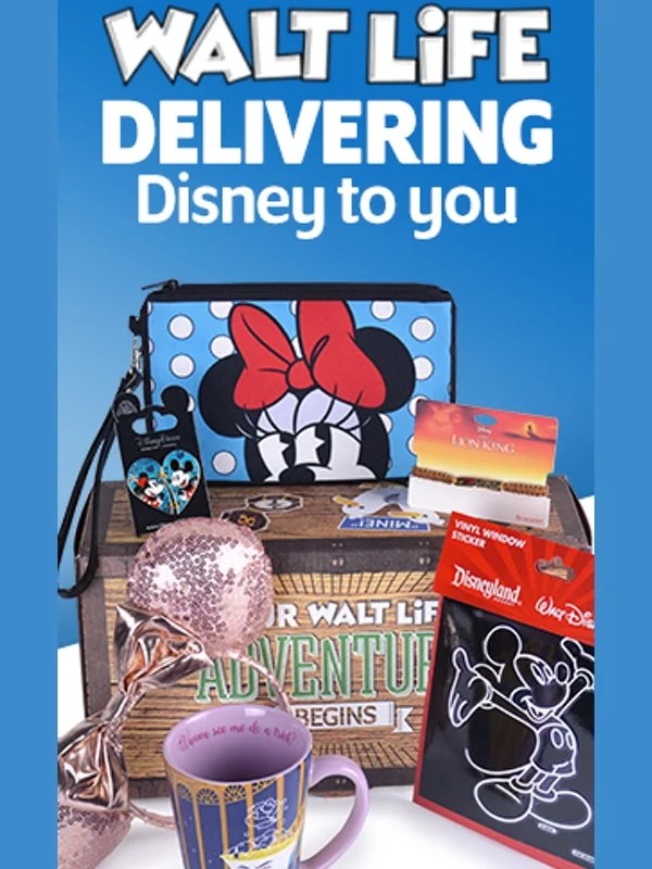 Coolest Monthly Subscription Box Gift Ideas Made In A Day