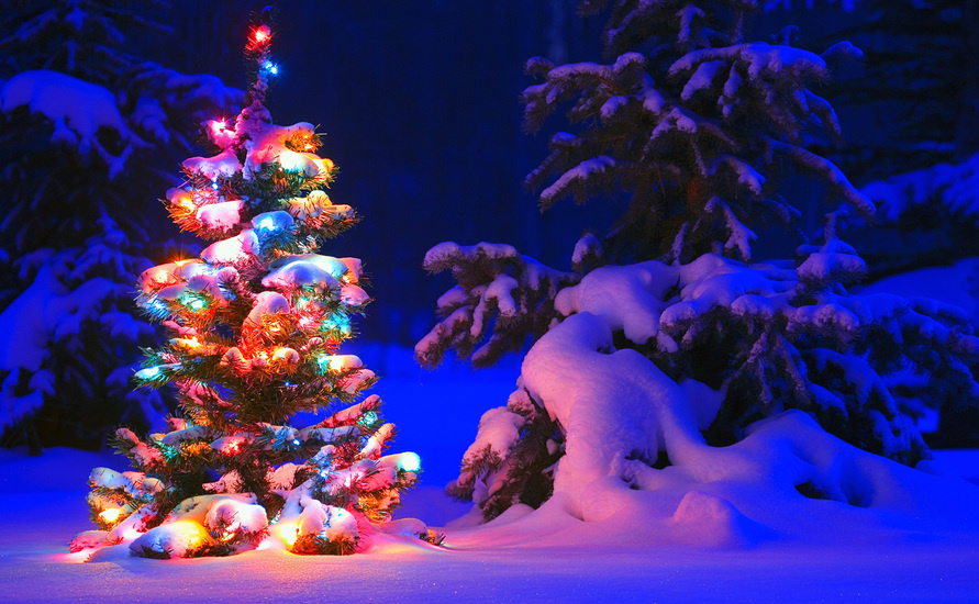 The history of the Christmas Tree Made in Atlantis