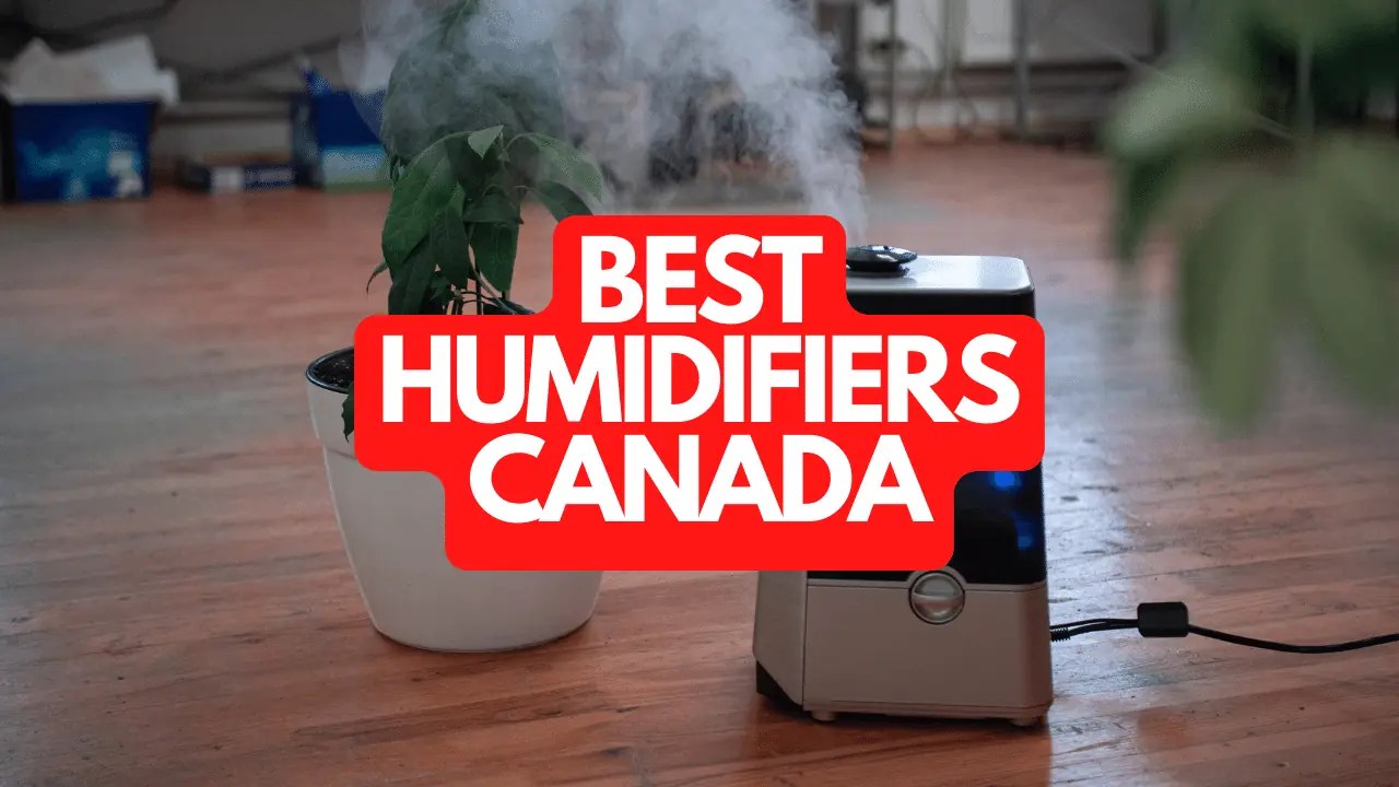 The Best Humidifiers in Canada of 2024 Made in CA