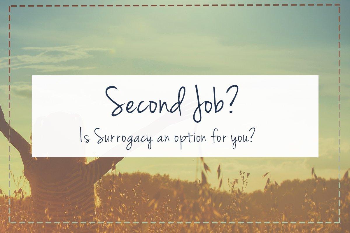 The Best Second Job in America Today, Surrogacy best option for you?