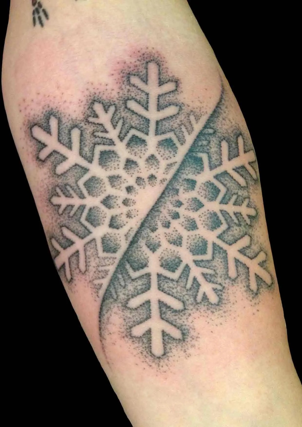 Il Tatuaggio Dotwork Tattoo A Puntini - Made Of Dots 1754_x_1240_jpg