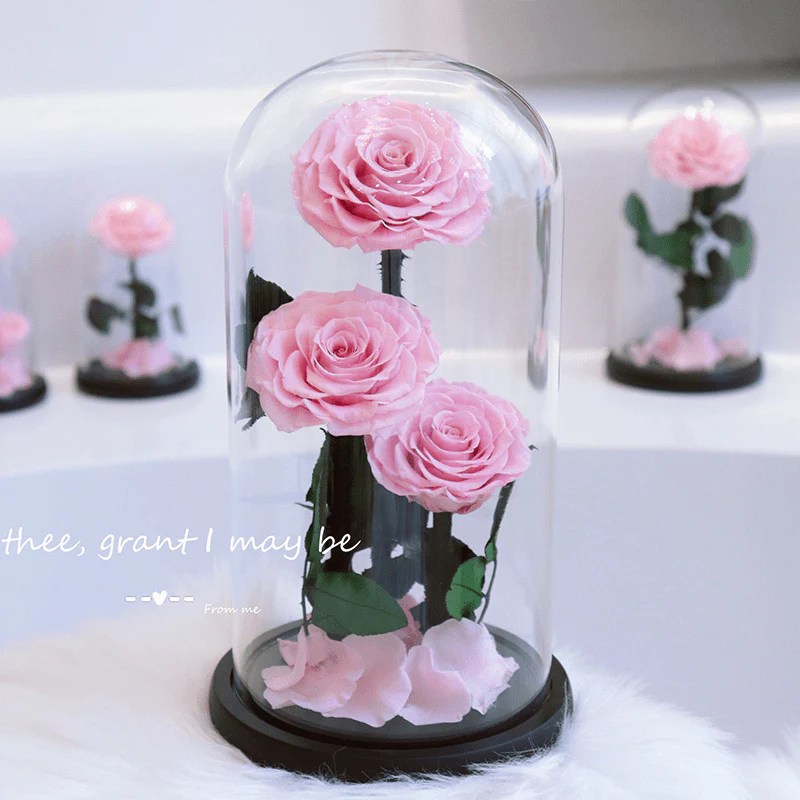 Preserved Rose In Glass Dome, Enchanted Roses, Natural Preserved Roses