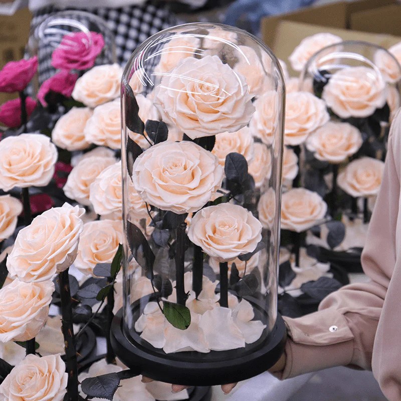 Preserved Rose In Glass Dome, Enchanted Roses, Natural Preserved Roses