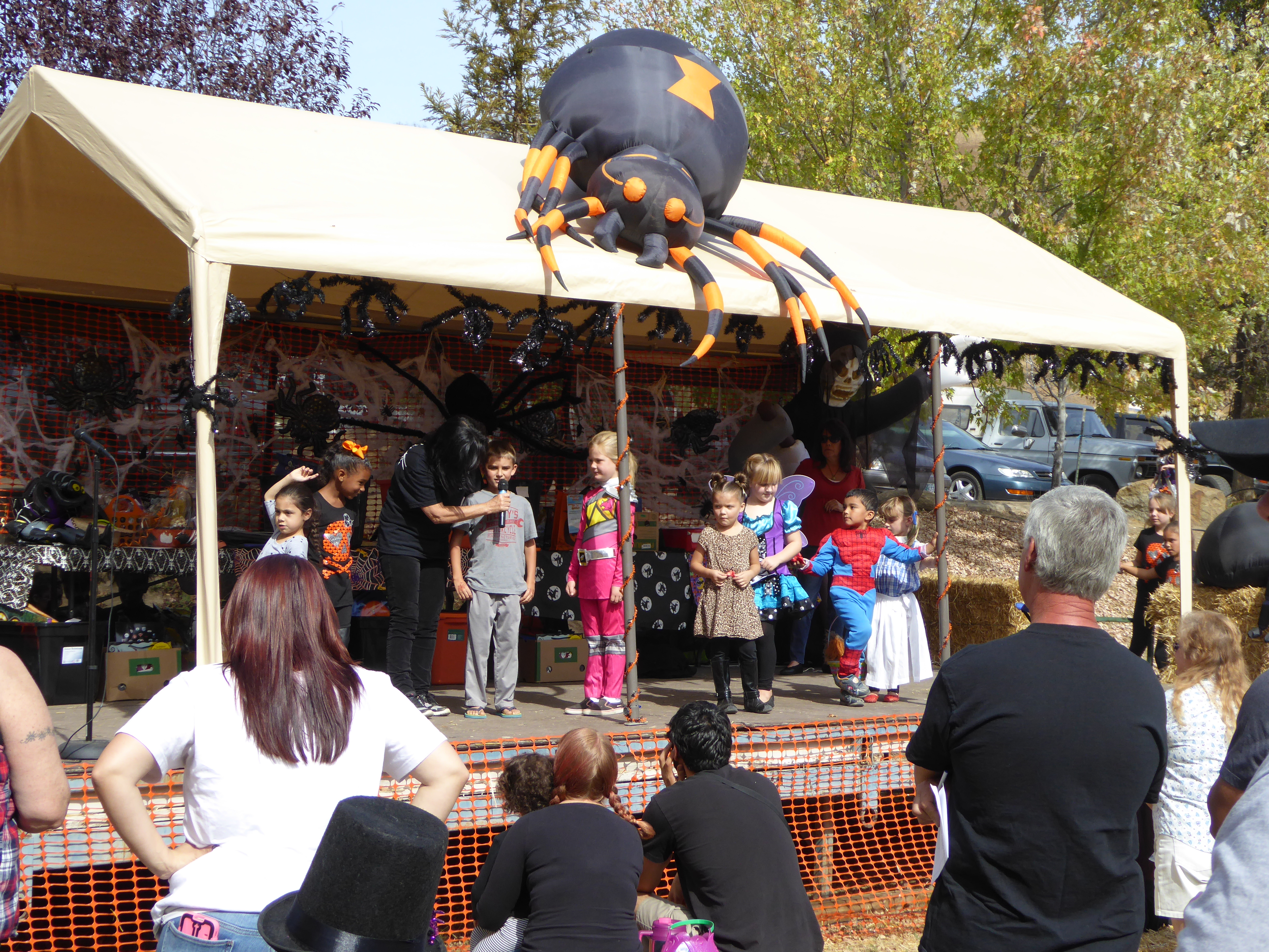 Coarsegold Tarantula Awareness Festival Sierra News Online
