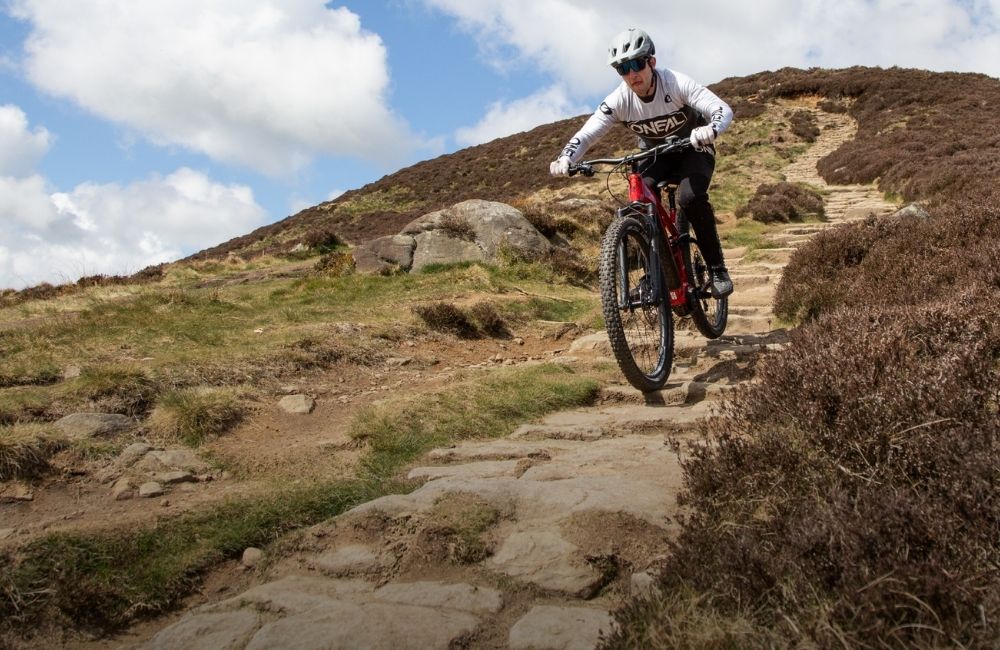 Forme Bikes, Bikes Review (2022) Madera Bike Shop