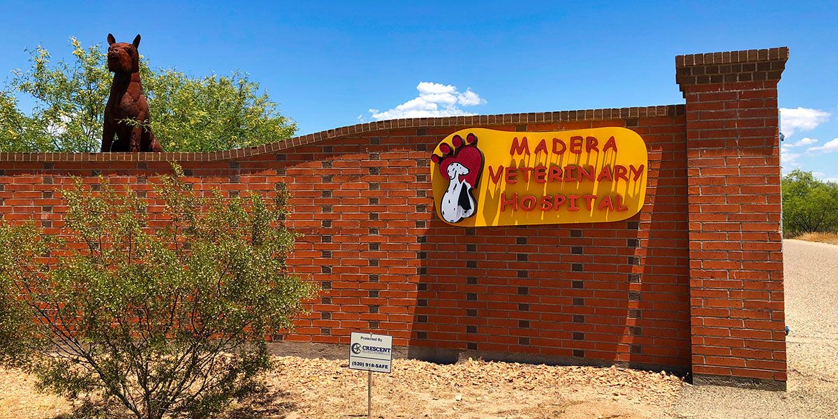Madera Veterinary Hospital Veterinarian Tucson, Southeast Tucson