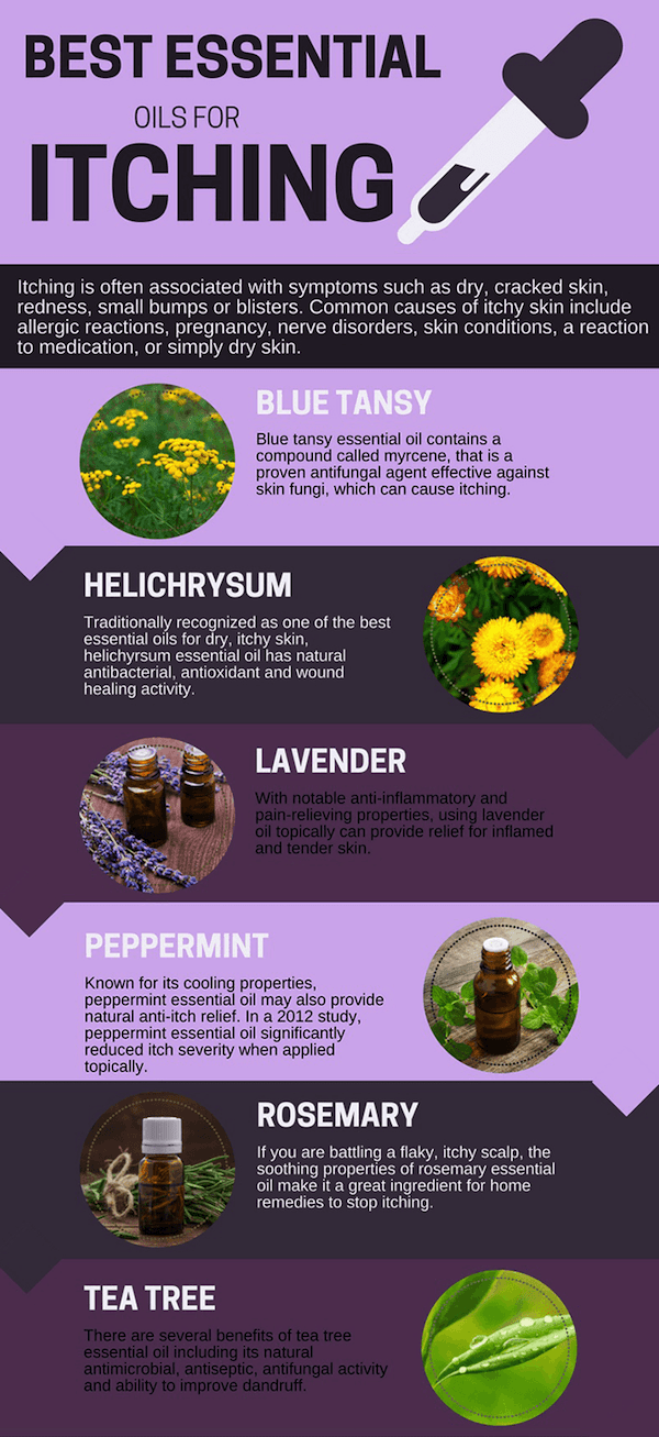 Stop That Itch 10 Best Essential Oils for Itching (Recipes Included