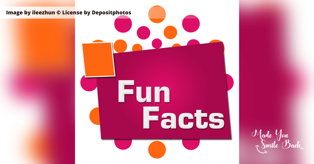Amazing Fun Facts About May You Will Love Made You Smile Back