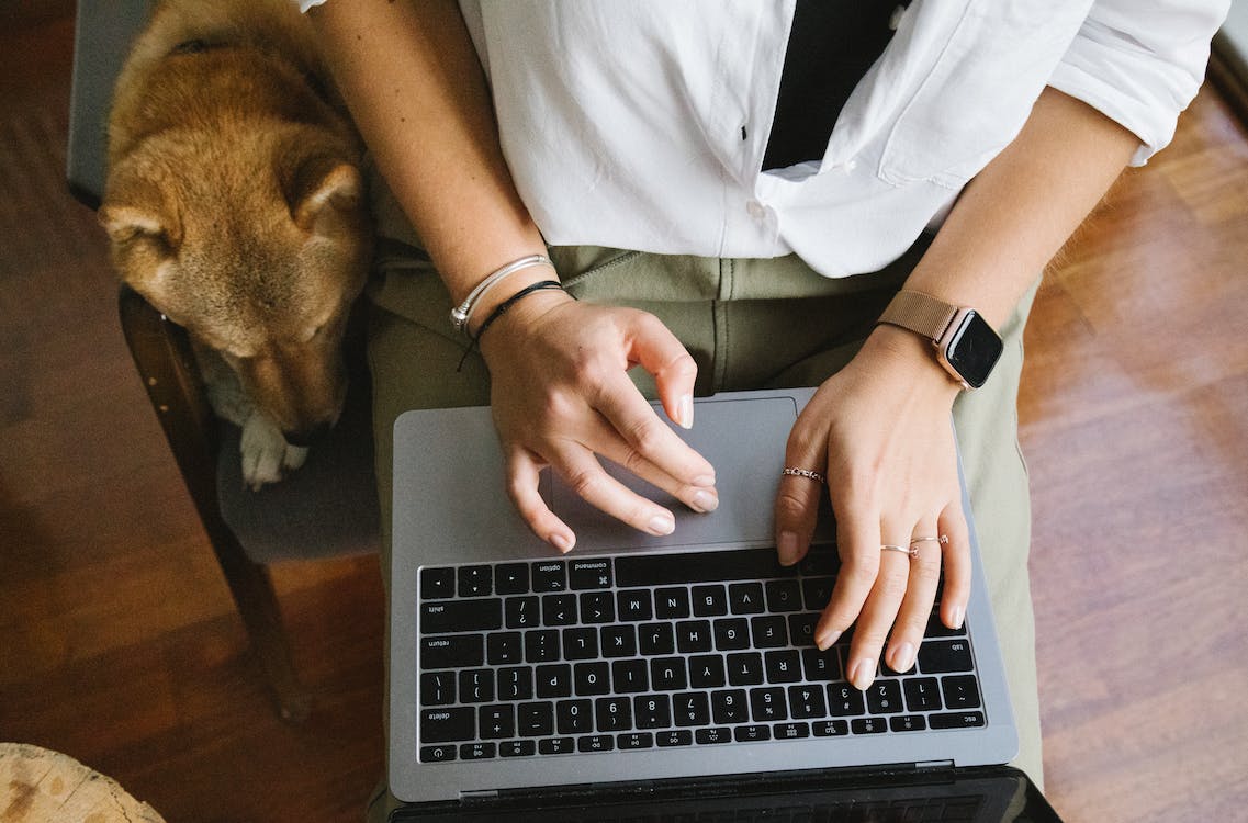 Does Your Office Need a Dog? 3 Surprising StudyBased Benefits of