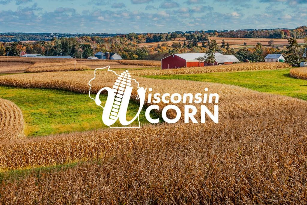 8 BEST CORN MAZES IN THE MADISON, WI AREA