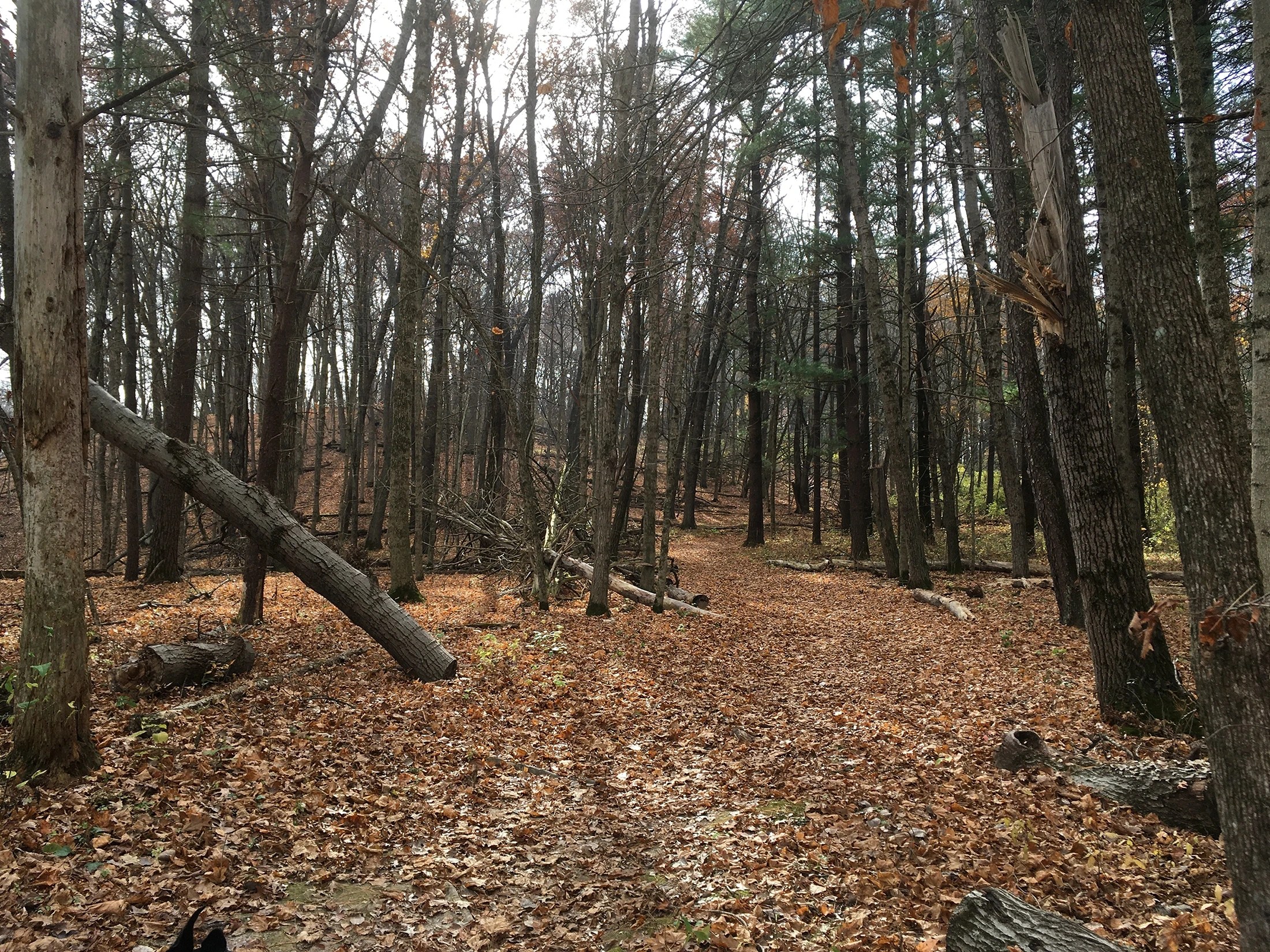 Apple River Canyon State Park Madison Road Trip