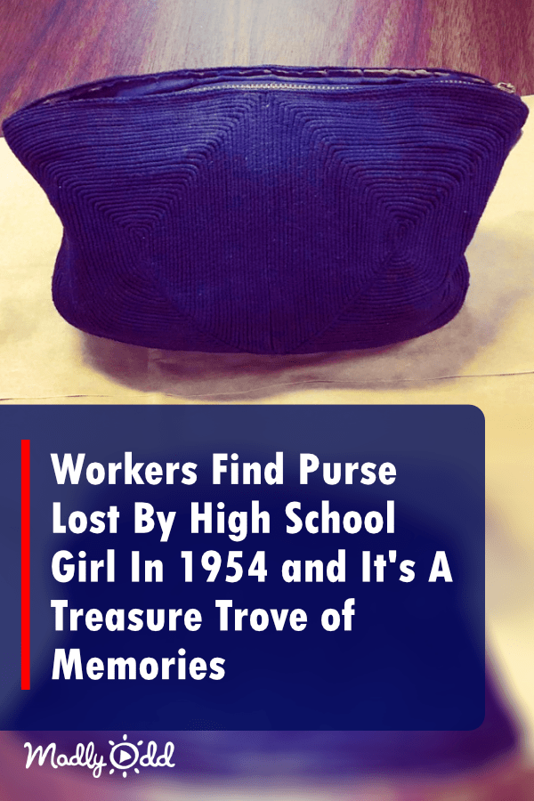 Dream Meaning Lost Purse IUCN Water