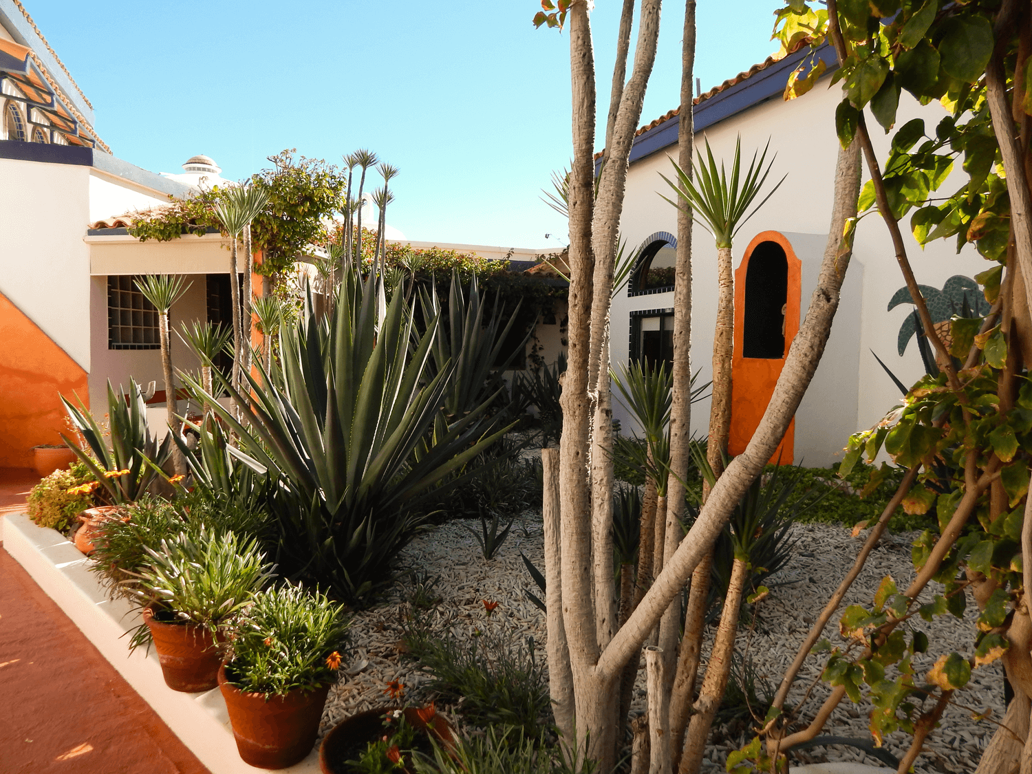 West Rental Home Madre del Mar Las Conchas Madre Del Mar Rocky