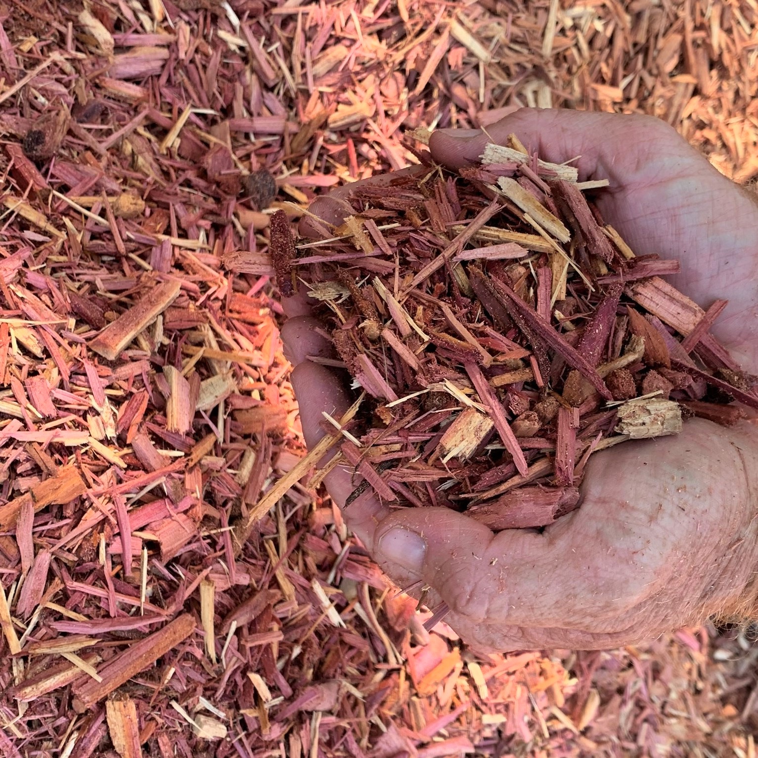 Cedar Chips (per yard) Mad River