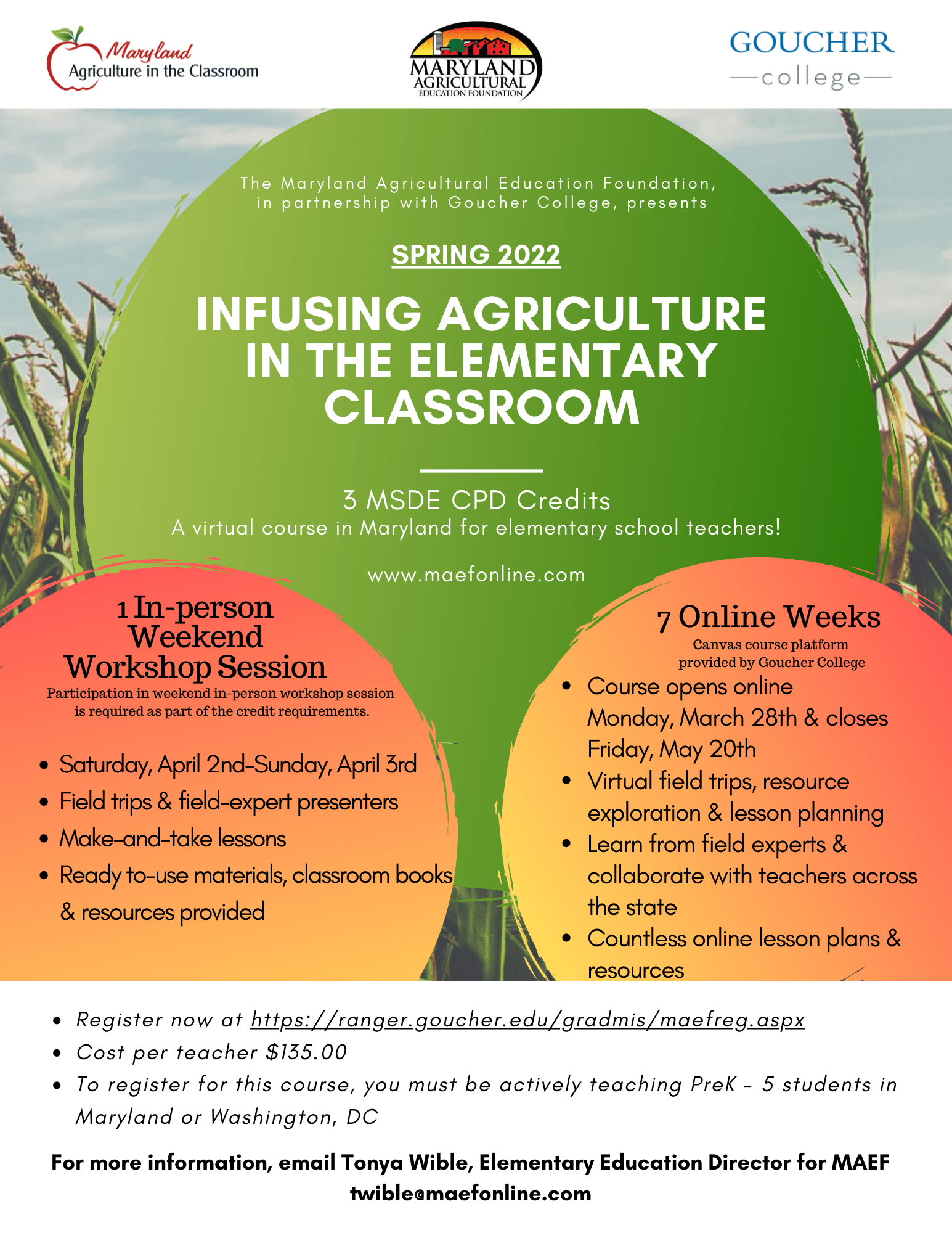 Elementary Education – MAEF