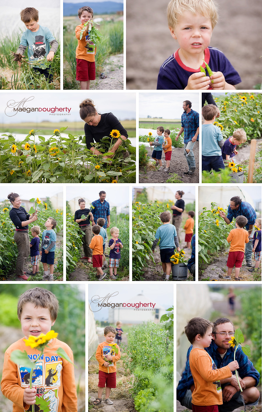 Lower Valley Farm NJ Photographer in Montana » Maegan Dougherty