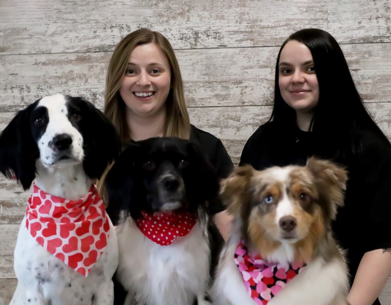 Maeley's Dog Spa Certified Dog Grooming in Coon Rapids, MN