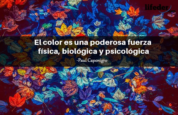 120 frases bonitas sobre cor