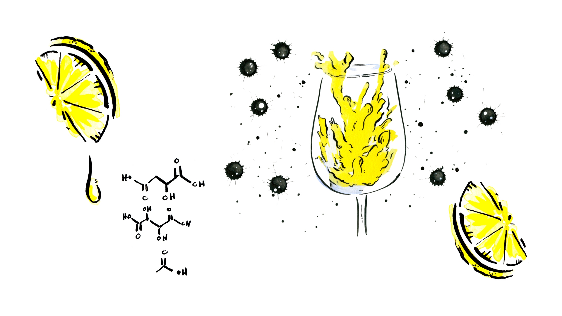 Racy, Tart, or Austere Why High Acidity Wine Hits Different SOMM TV Magazine
