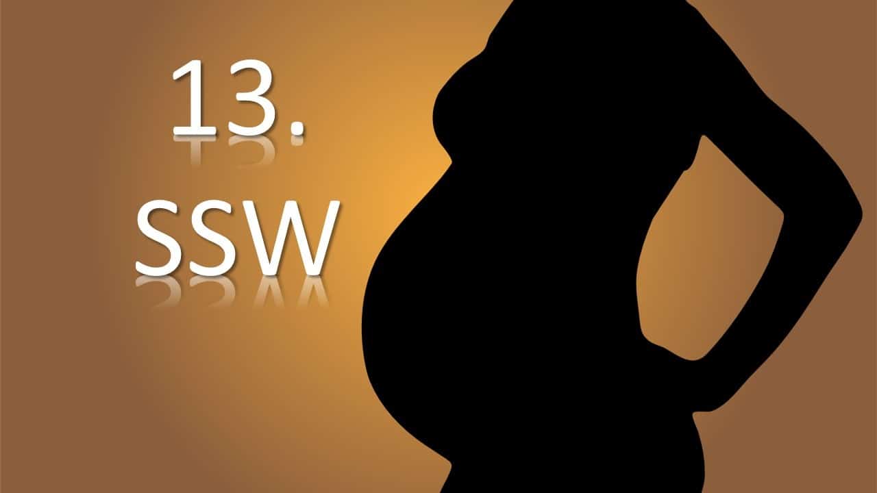 13. SSW 13. Schwangerschaftswoche ⋆ Adeba