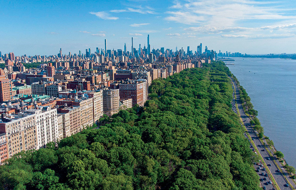 The Incredible Environmental Benefits of NYC Trees Columbia Magazine