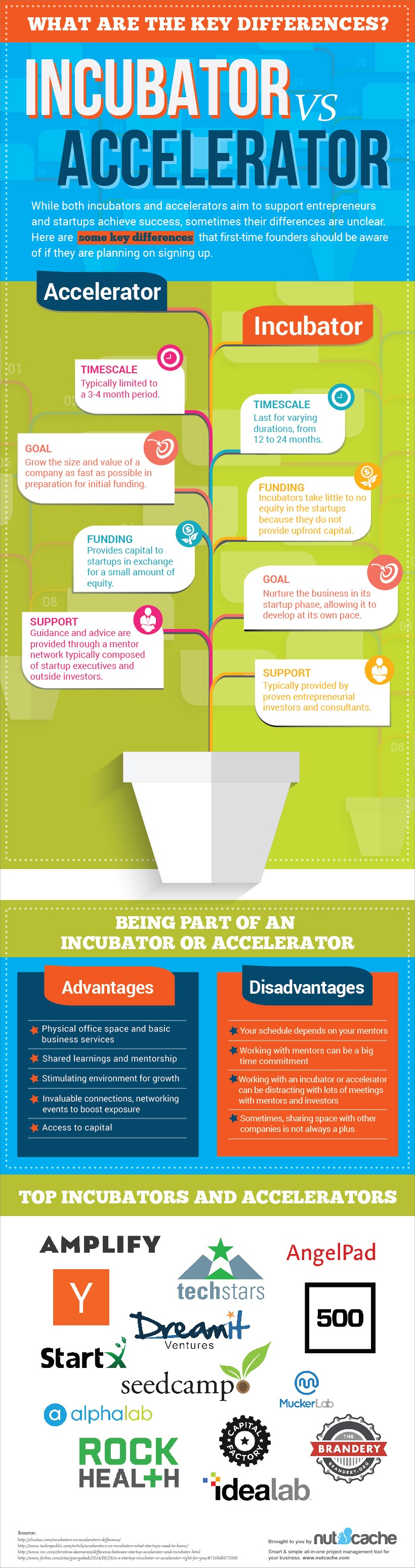 Infographic Accelerators vs Incubators What Founders Need To Know