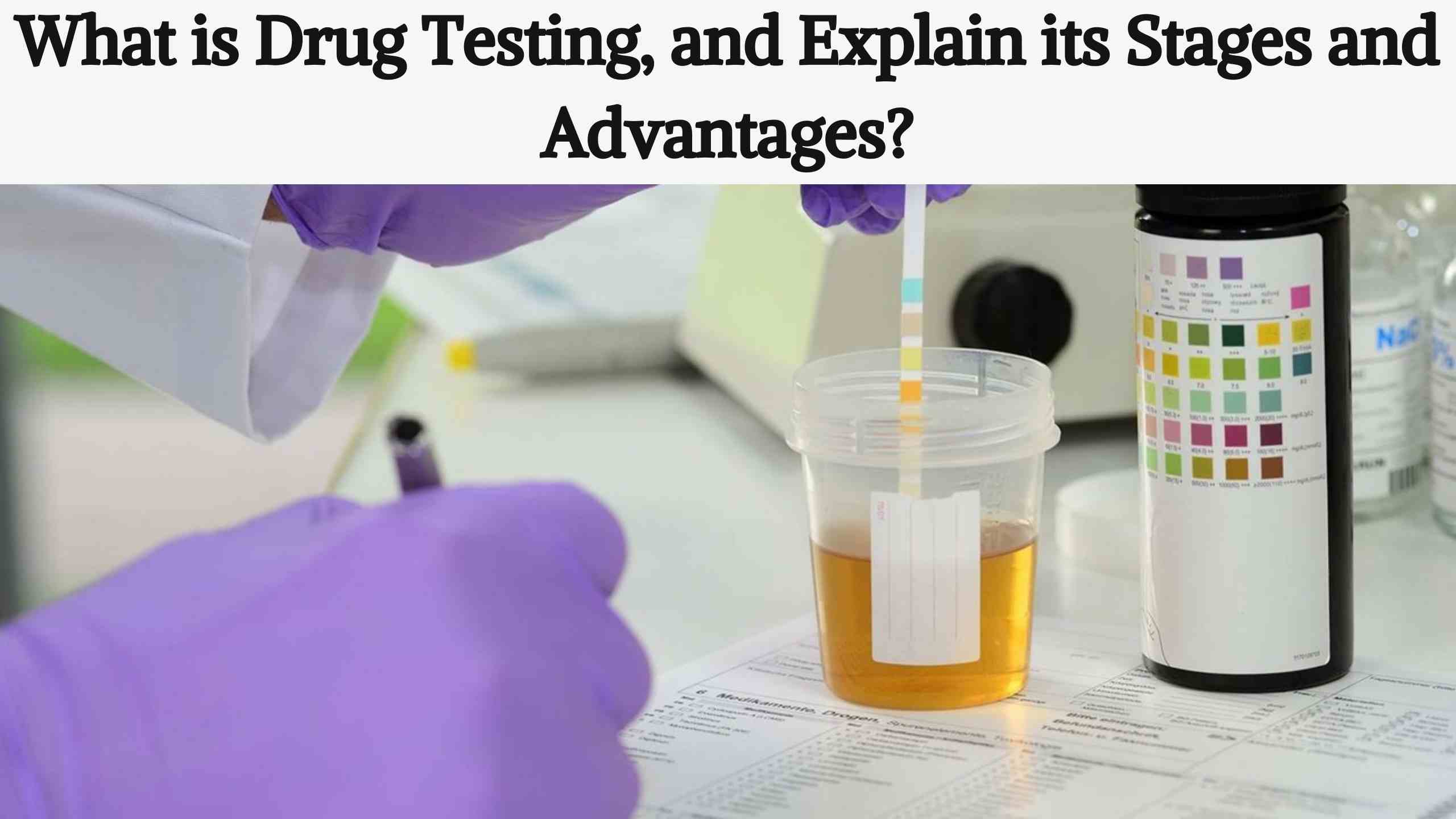 What is Drug Testing, and Explain its Stages and Advantages? Magazinted