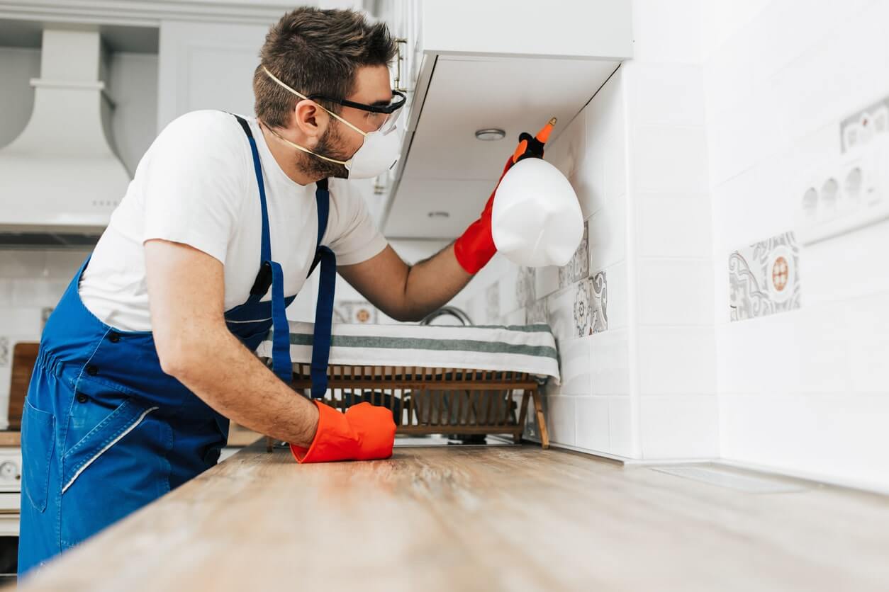 Pest Control Markham