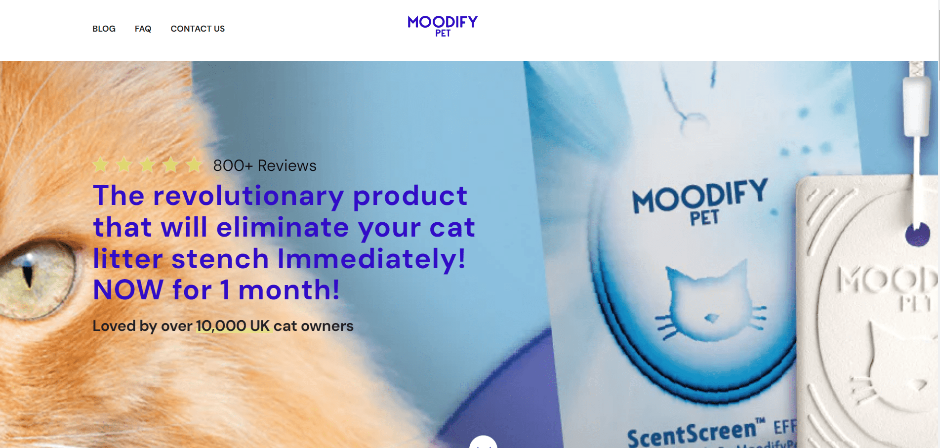 10+ Best Shopify Pet Store Examples & Themes for Pet Store 2024