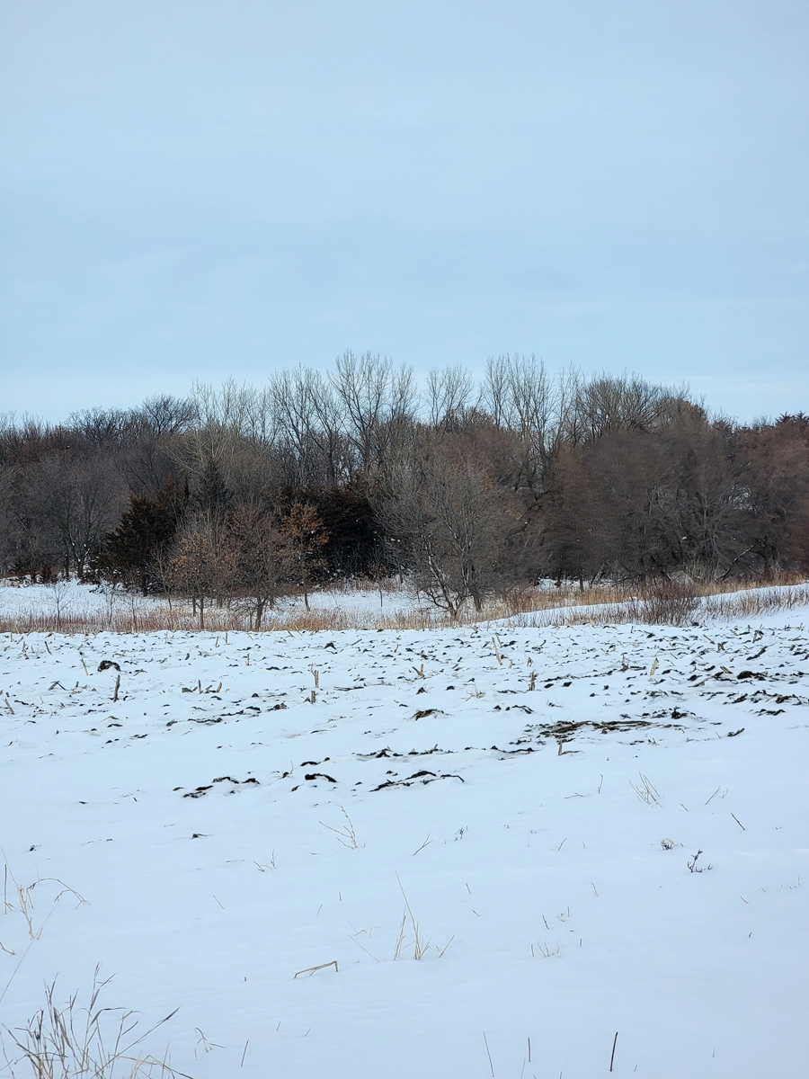 37.32 Acres, Camp Township, Renville County Mages Land Company