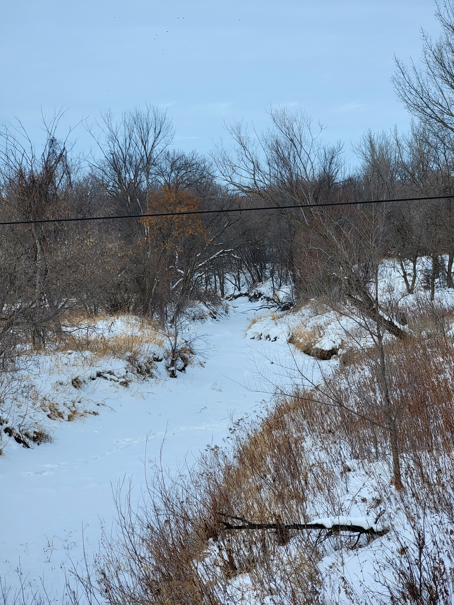 37.32 Acres, Camp Township, Renville County Mages Land Company