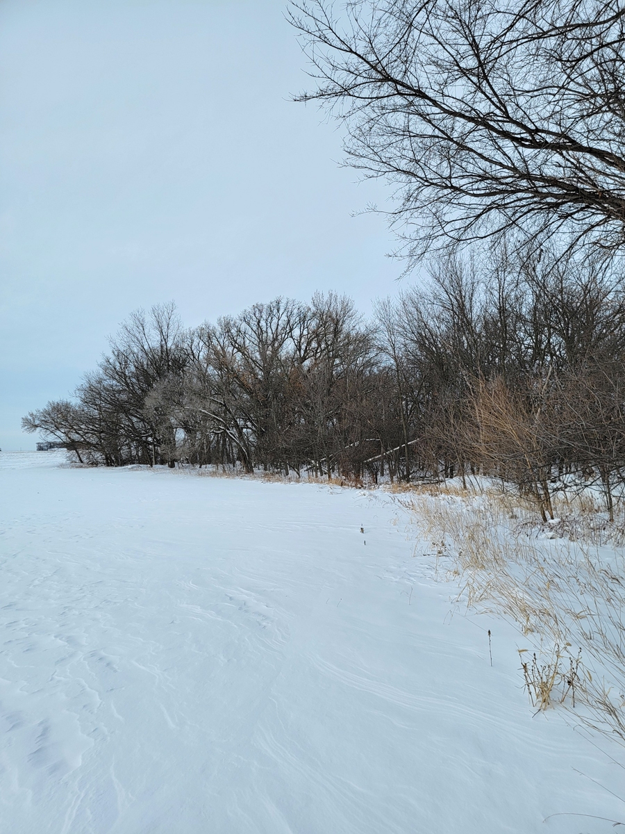 37.32 Acres, Camp Township, Renville County Mages Land Company