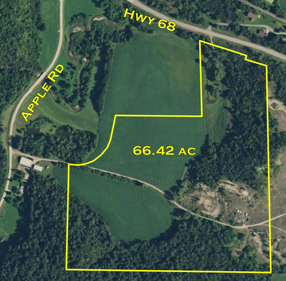 66.42 ac of Farm Land & Wooded Area near New Ulm, MN Mages Land
