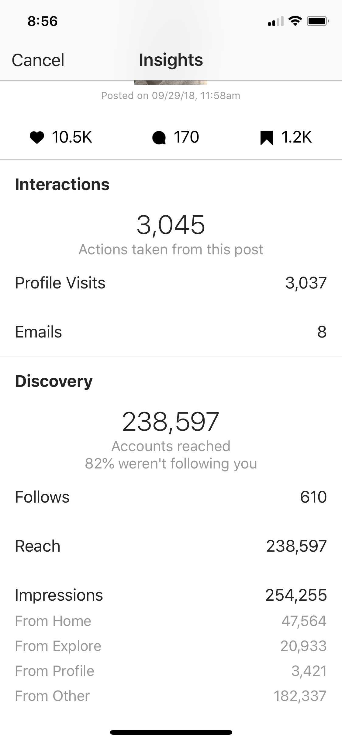 363 Instagram Dog Hashtags hashtags updated monthly