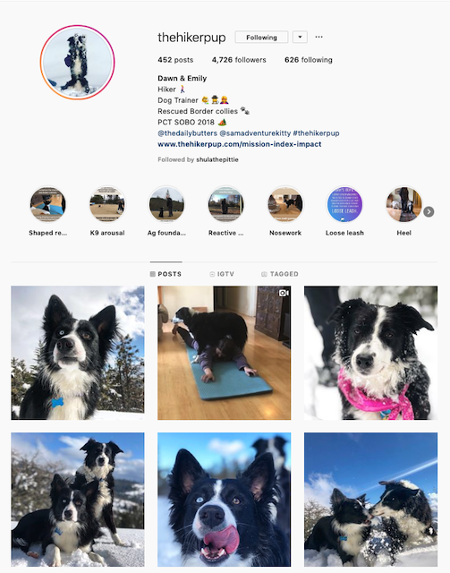 Most Common Instagram Bio Problems (Solutions to fix it