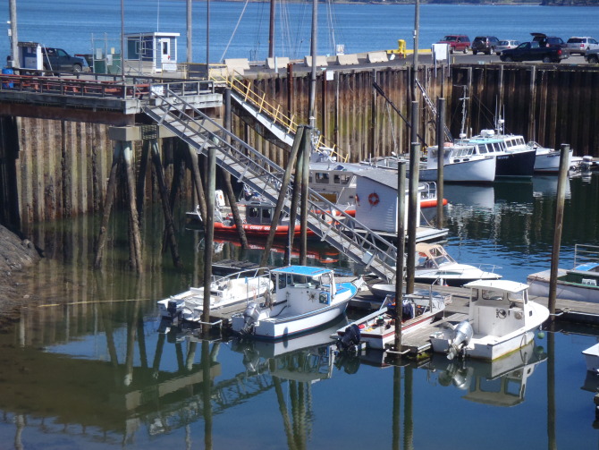 Eastport Maggie's Farm