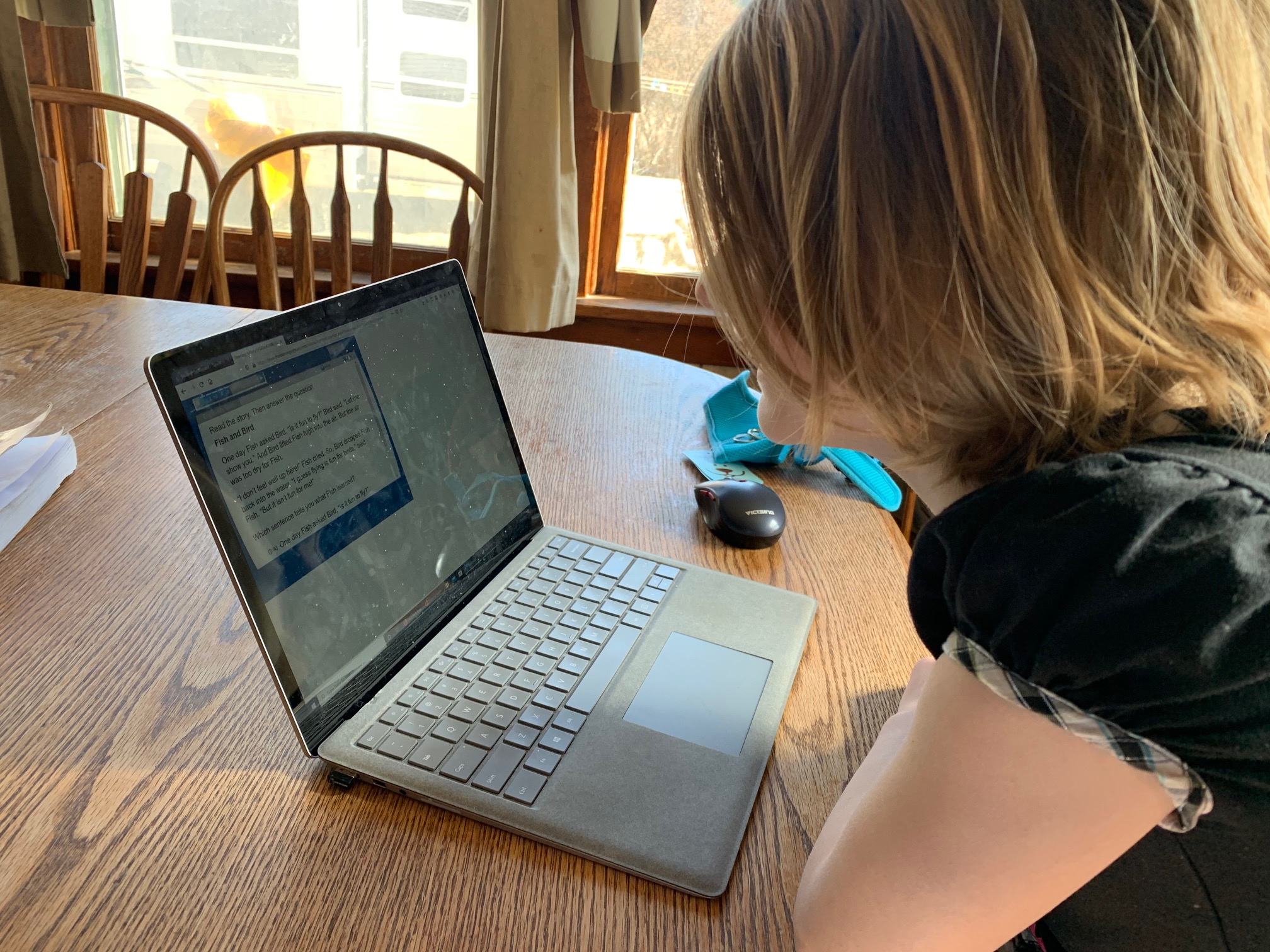 My Review of Time4Learning