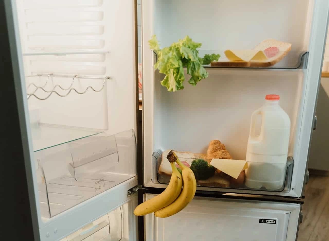 Easy Ways to Reduce Food Waste Disposer at Home Maggy Maid